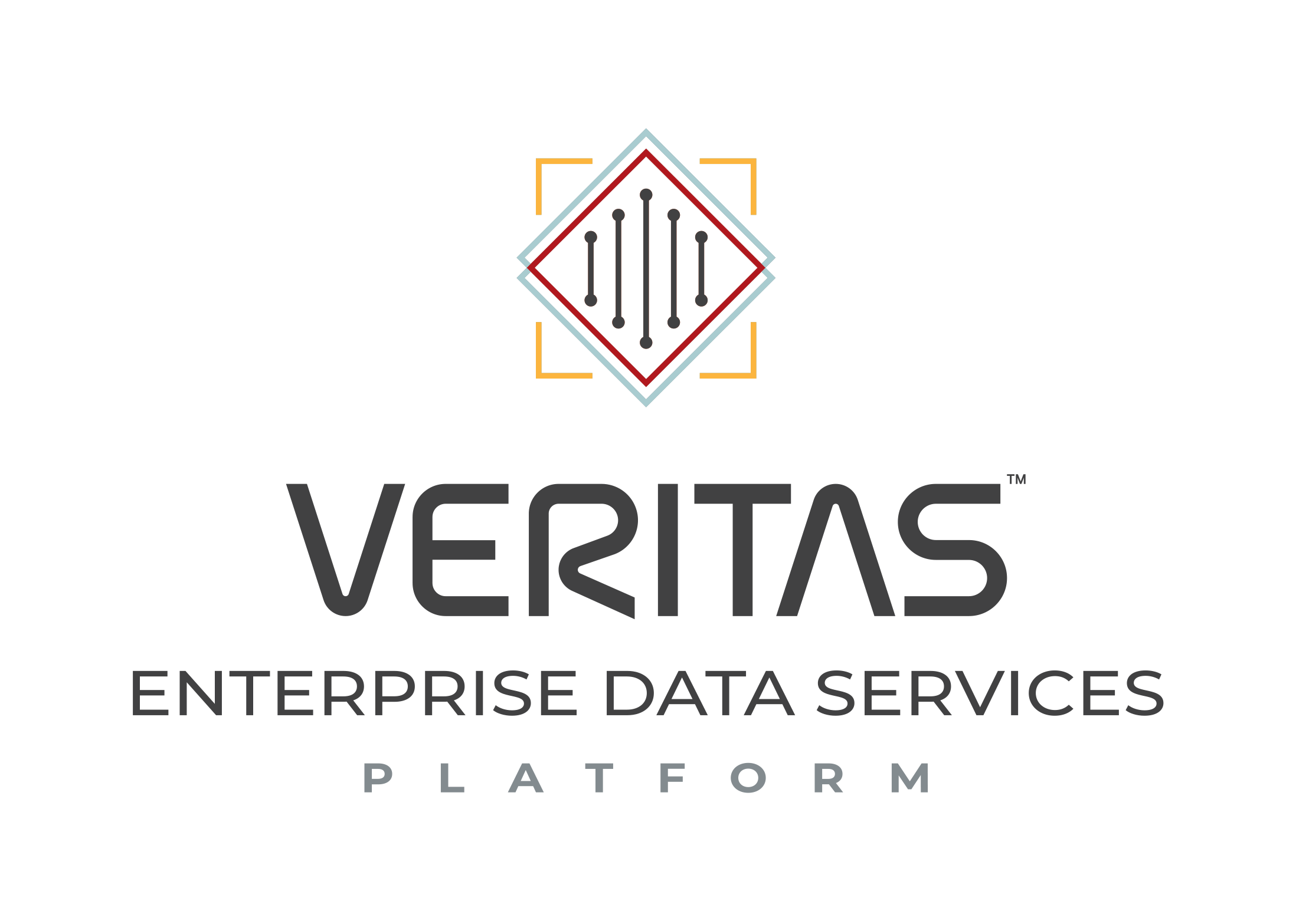 Enterprise Data Services Platform Logo