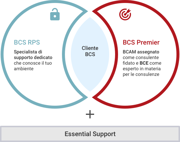 BCS Support Offerings