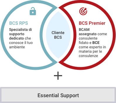 BCS Support Offerings