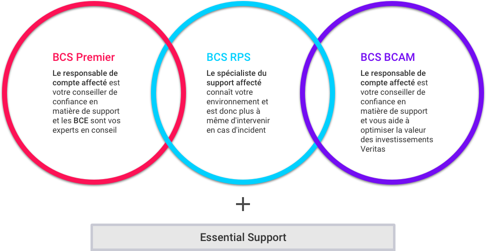 BCS Support Offerings