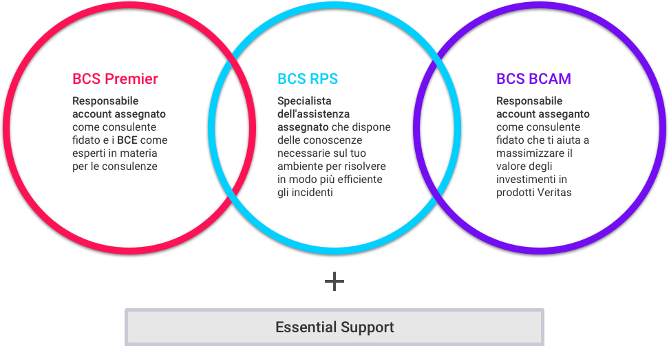 BCS Support Offerings