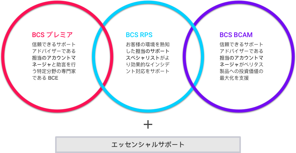 BCS Support Offerings