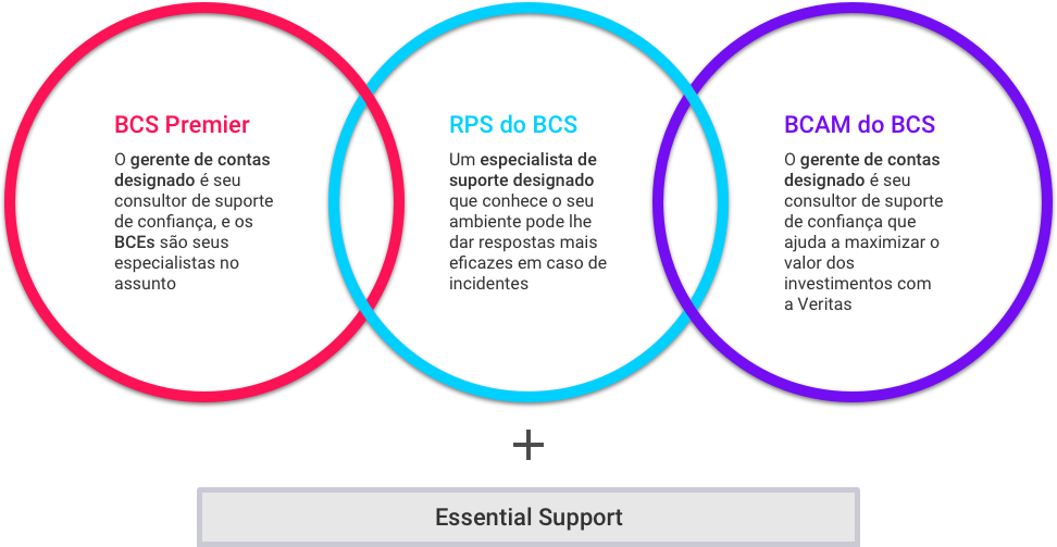 BCS Support Offerings
