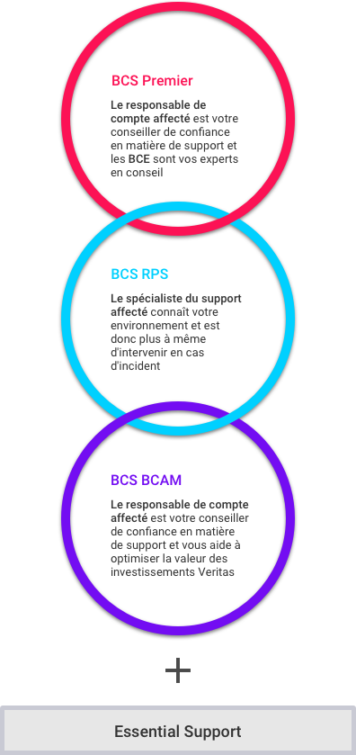 BCS Support Offerings