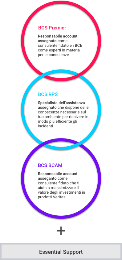 BCS Support Offerings