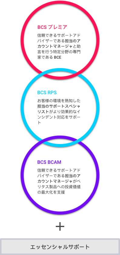 BCS Support Offerings