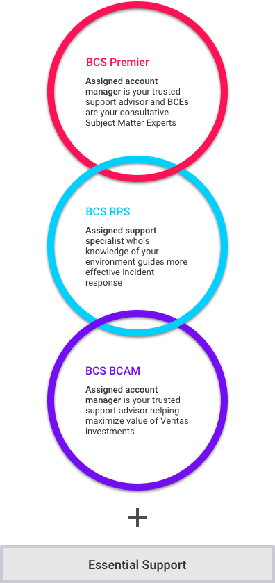 BCS Support Offerings