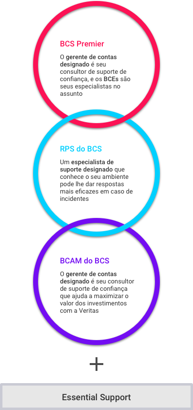 BCS Support Offerings