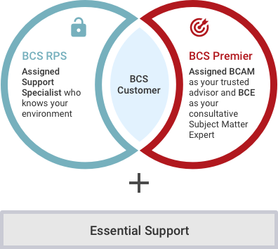 BCS Support Offerings