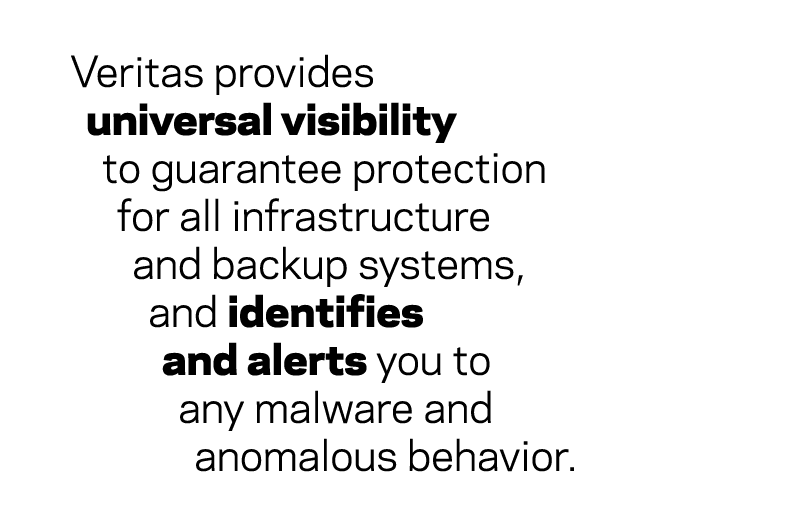 Veritas provides universal visibility to guarantee protection for all infrastructure and backup systems, and identifi...